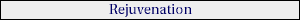 Rejuvenation Services